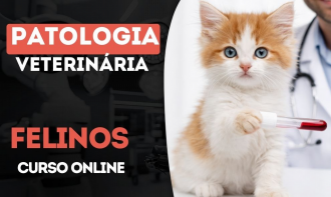 Patologia Veterinária em Felinos