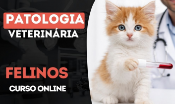 Patologia Veterinária em Felinos
