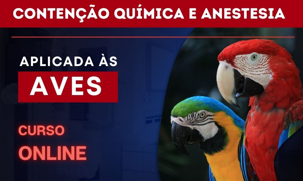 Curso online de atualização aplicada para medicina veterinária | Contenção Química e Anestesia em Aves