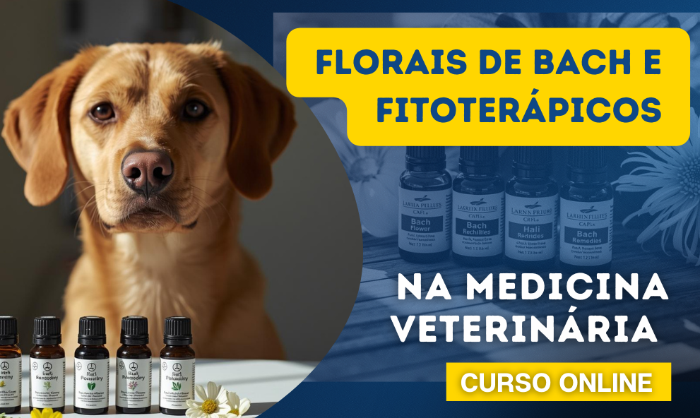 Medicina Integrativa | Florais de Bach e Fitoterápicos na Rotina Veterinária