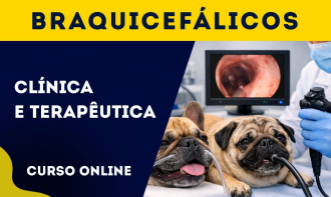 Clínica e Terapêutica de Braquicefálicos