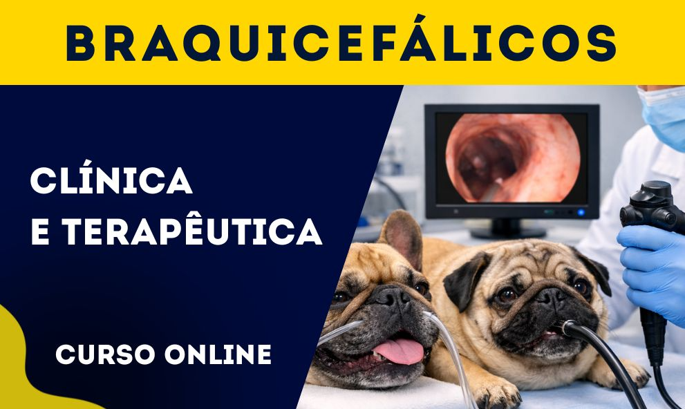 Clínica e Terapêutica de Braquicefálicos