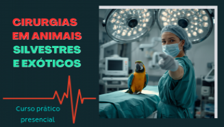 Cirurgias de Rotina em Animais Silvestres e Exóticos	| São Paulo