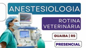 Anestesiologia em Pequenos Animais - Intensivo | Porto Alegre
