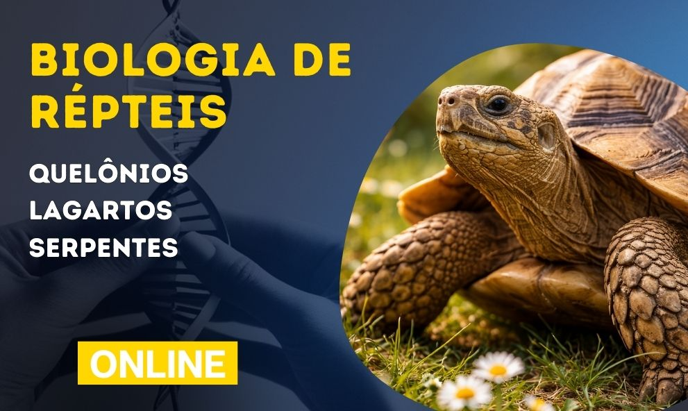 Biologia de Répteis | Quelônios, Lagartos e Serpentes