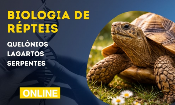 Biologia de Répteis | Quelônios, Lagartos e Serpentes
