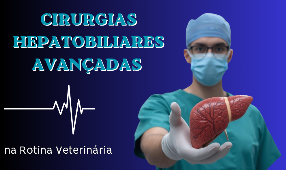 Cirurgias Hepatobiliares Avançadas | São Paulo