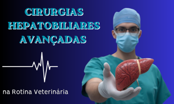 Cirurgias Hepatobiliares Avançadas | São Paulo