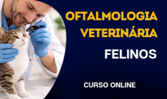 Oftalmologia Veterinária em Felinos