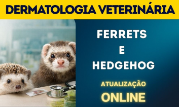 Curso Online de Atualização em Medicina Veterinária | Dermatologia Aplicada em Ferrets e Hedgehog