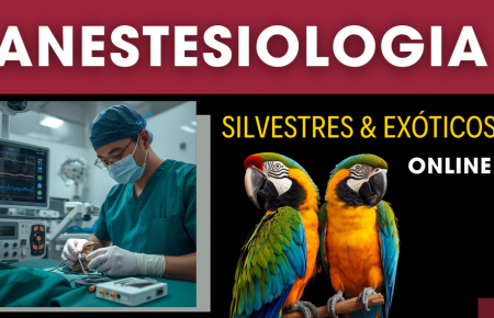Anestesia Aplicada em Animais Silvestres e Exóticos | EAD