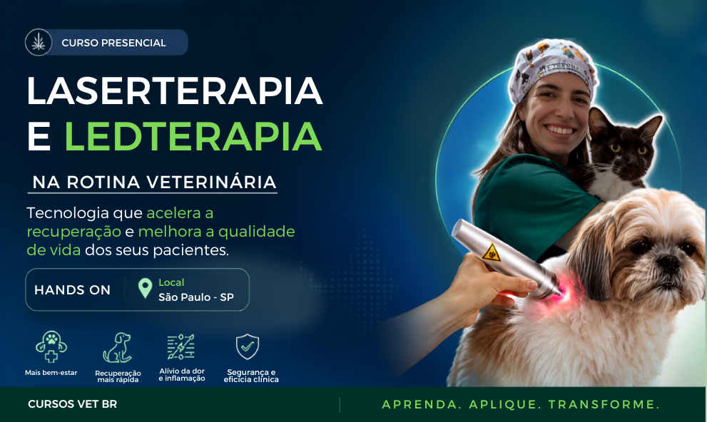 Laserterapia e Ledterapia na Rotina Veterinária | São Paulo