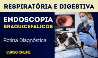 Braquicefálicos: Rotina Diagnóstica na Endoscopia Respiratória e Digestiva