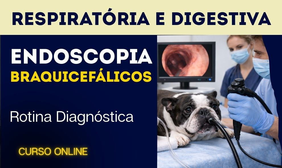 Braquicefálicos: Rotina Diagnóstica na Endoscopia Respiratória e Digestiva