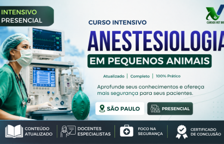 Anestesiologia em Pequenos Animais - Intensivo | São Paulo