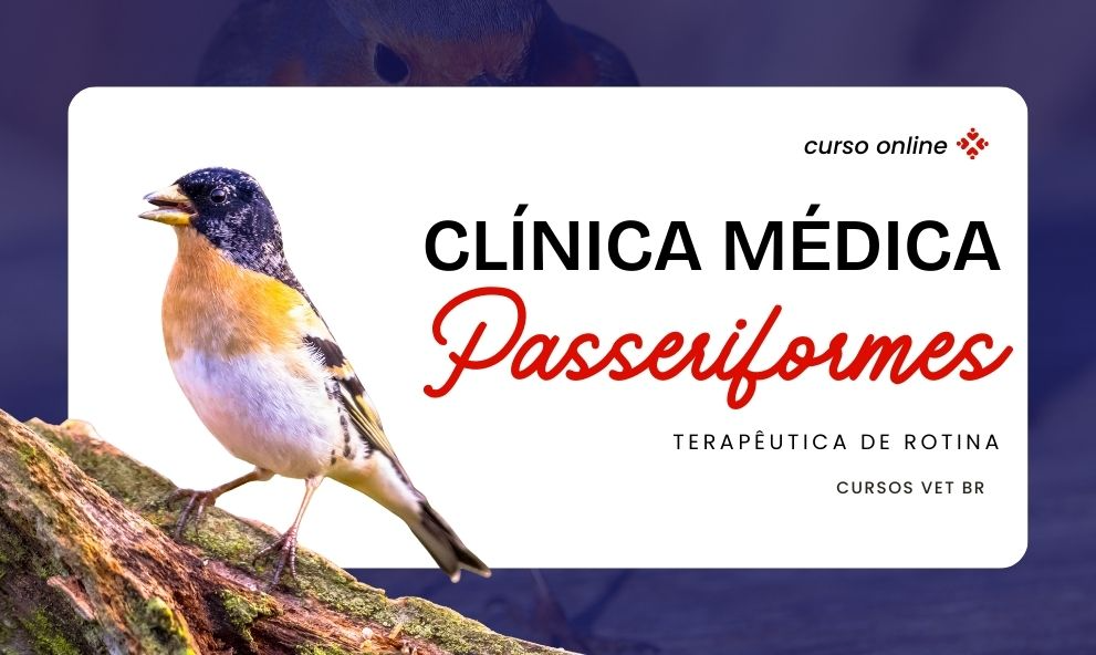 Clí­nica Médica de Passeriformes na rotina clínica