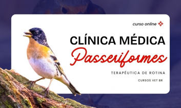 Clí­nica Médica de Passeriformes na rotina clínica