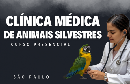 Clínica Médica em Animais Silvestres e Exóticos - São Paulo