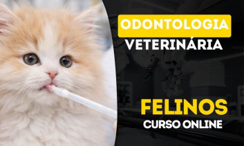 Odontologia Veterinária em Felinos