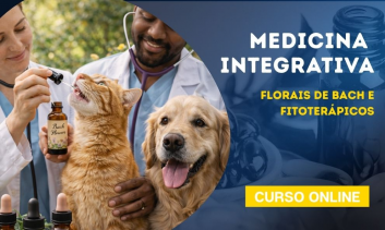 Medicina Integrativa | Florais de Bach e Fitoterápicos