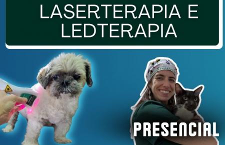 Laserterapia e Ledterapia na Rotina Veterinária | São Paulo