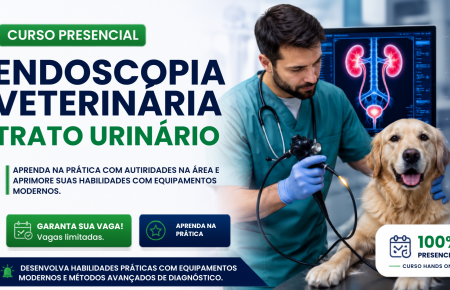 Endoscopia do Trato Geniturinário em Cães e Gatos | São Paulo - 100% Presencial