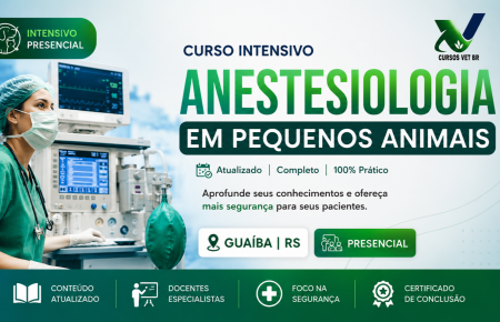 Anestesiologia em Pequenos Animais - Intensivo | Porto Alegre