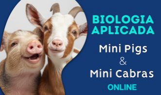 Biologia de Mamíferos | Mini Pigs e Mini Cabras