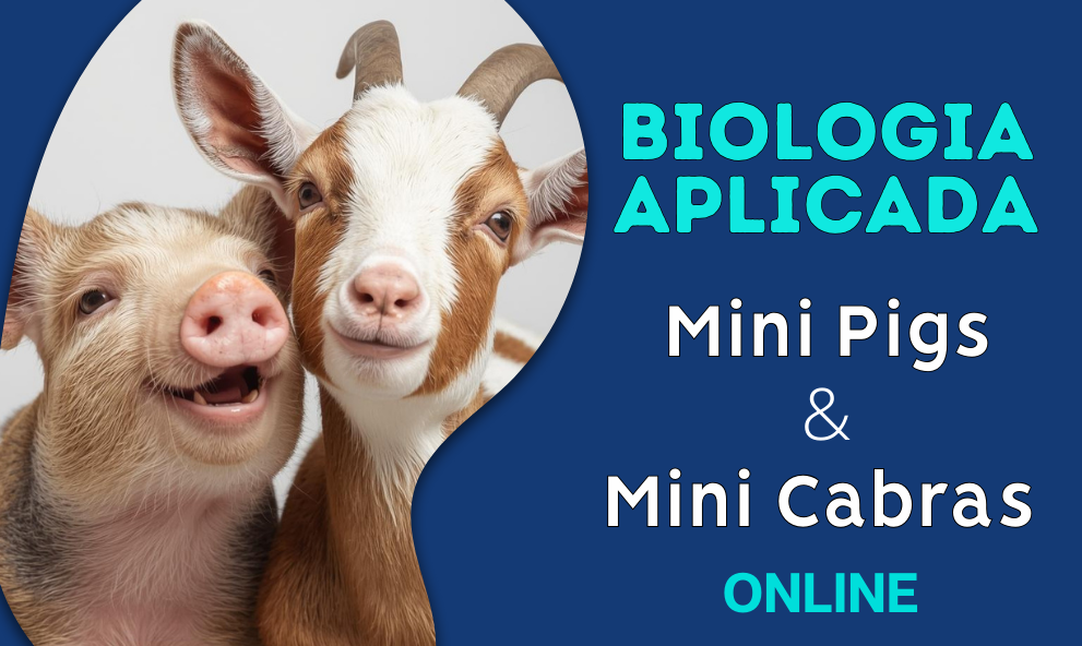 Biologia de Mamíferos | Mini Pigs e Mini Cabras