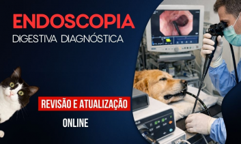 Endoscopia Digestiva Diagnóstica