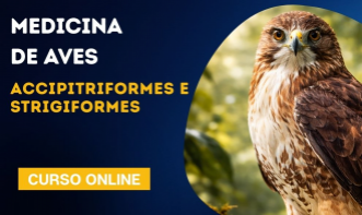 Medicina de aves | Accipitriformes e Strigiformes