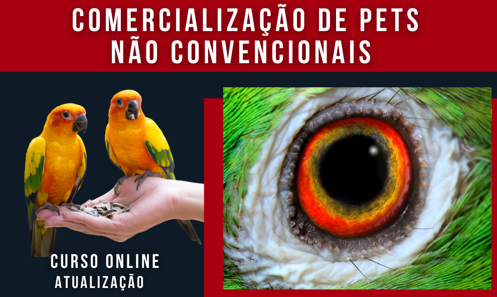 Comercialização de Pets não Convencionais 