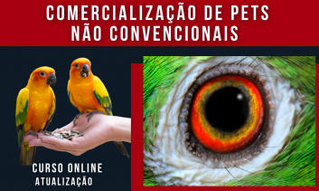 Comercialização de Pets não Convencionais 