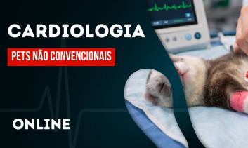 Cardiologia em Pets não Convencionais