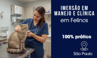 Atualização Avançada de Clínica em Felinos | São Paulo