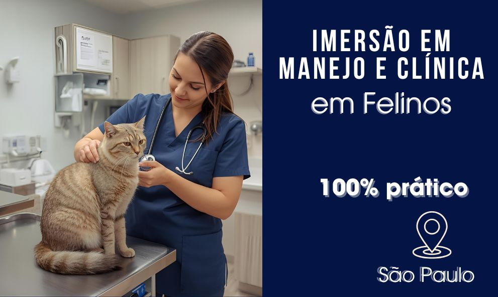 Atualização Avançada de Clínica em Felinos | São Paulo