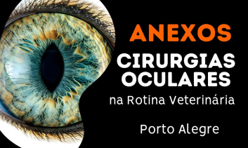 Cirurgias de Rotina na Oftalmologia em Pequenos Animais - Porto Alegre
