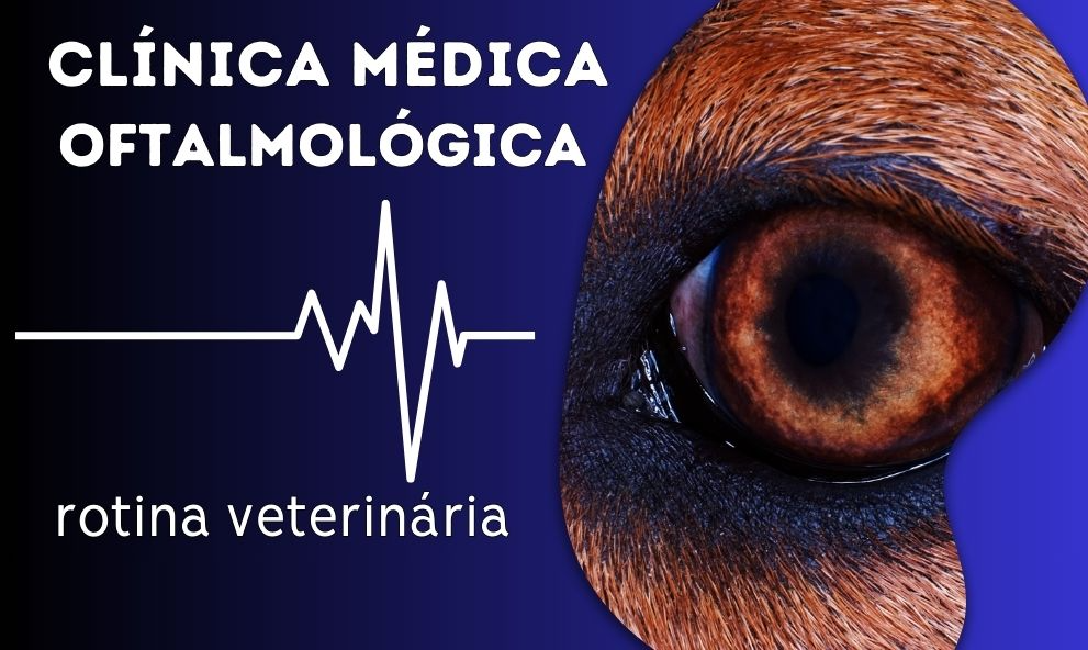 Oftalmologia em Cães e gatos | EAD