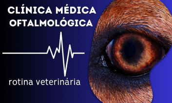Oftalmologia em Cães e gatos | EAD