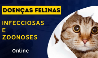 Doenças Infecciosas e Zoonoses em Felinos