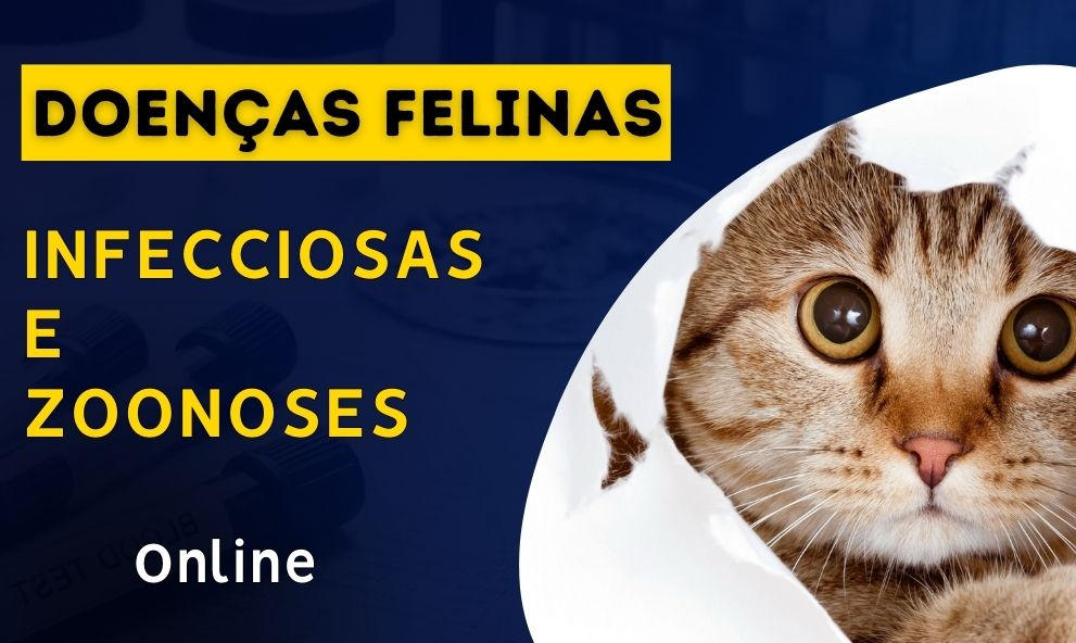 Doenças Infecciosas e Zoonoses em Felinos