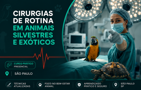 Cirurgias de Rotina em Animais Silvestres e Exóticos	| São Paulo