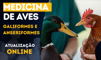 Medicina de Galiformes e Anseriformes | Atualização