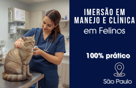 Atualização Avançada de Clínica em Felinos | São Paulo