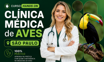 Clínica Médica de Aves 100% prático | São Paulo