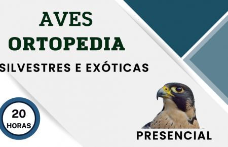 Ortopedia em Aves Silvestres e Exóticas | São Paulo