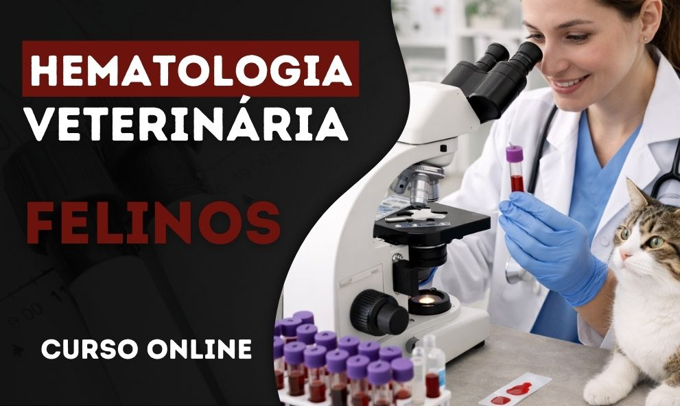 Hematologia Veterinária em Felinos | EAD