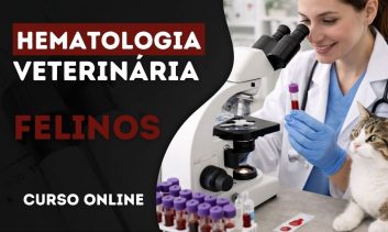 Hematologia Veterinária em Felinos | EAD