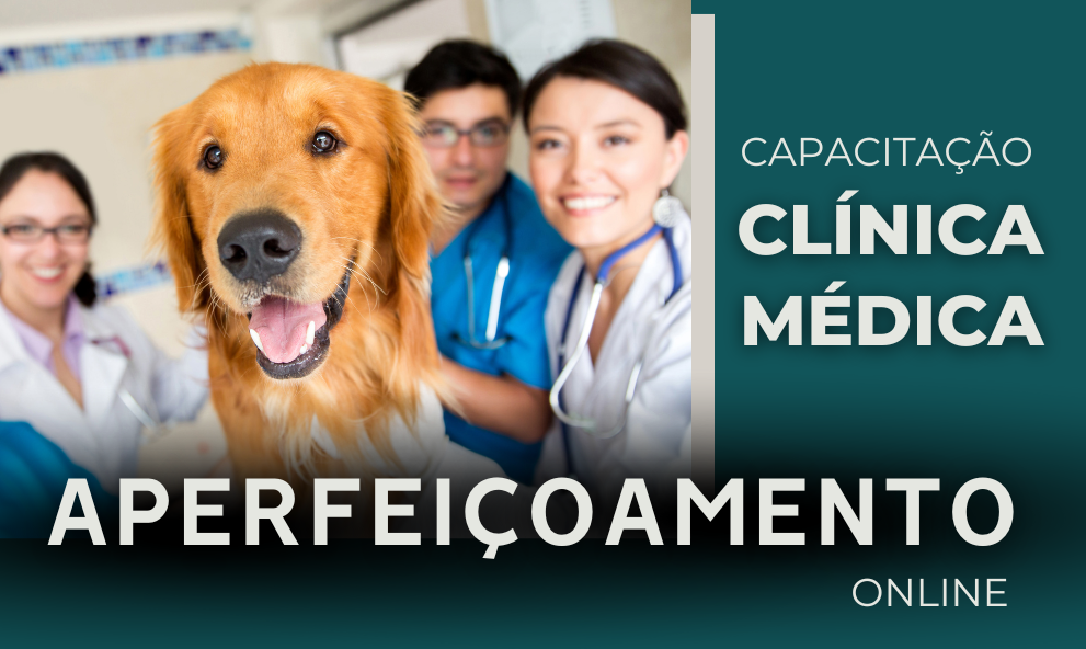 Aperfeiçoamento em Clínica Médica de Pequenos Animais