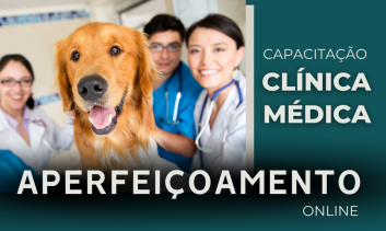 Aperfeiçoamento em Clínica Médica de Pequenos Animais